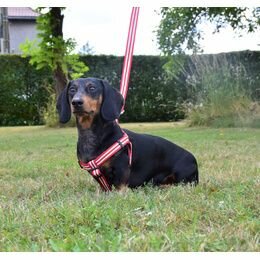 Riem Stripe Rood