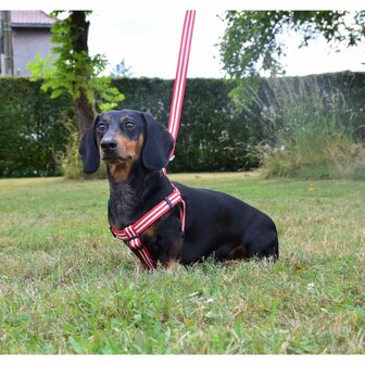 Riem Stripe Rood