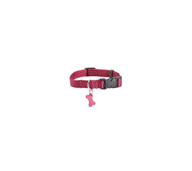 Hondenhalsband Safe Fuchsia