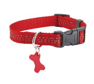 Hondenhalsband Safe Rood