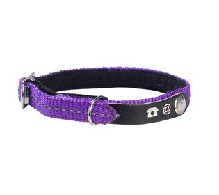 Kattenhalsband Lost Violet