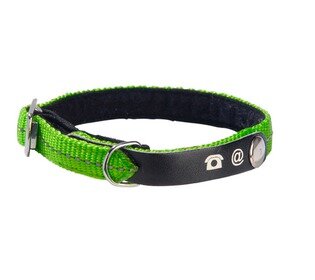 Kattenhalsband Lost Groen