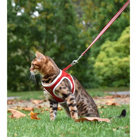 Kattenharnas mini met riem Stripe Rood