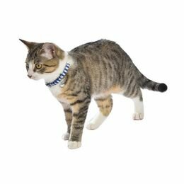 Kattenhalsband Marina Blauw