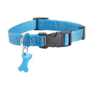 Hondenhalsband Safe Blauw