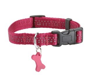 Hondenhalsband Safe Fuchsia