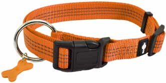 Hondenhalsband Safe Oranje