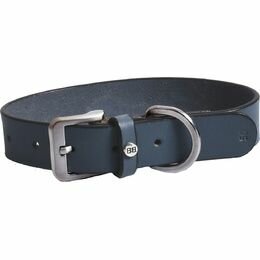 Hondenhalsband Rivet Blauw