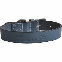 Hondenhalsband Rivet Blauw